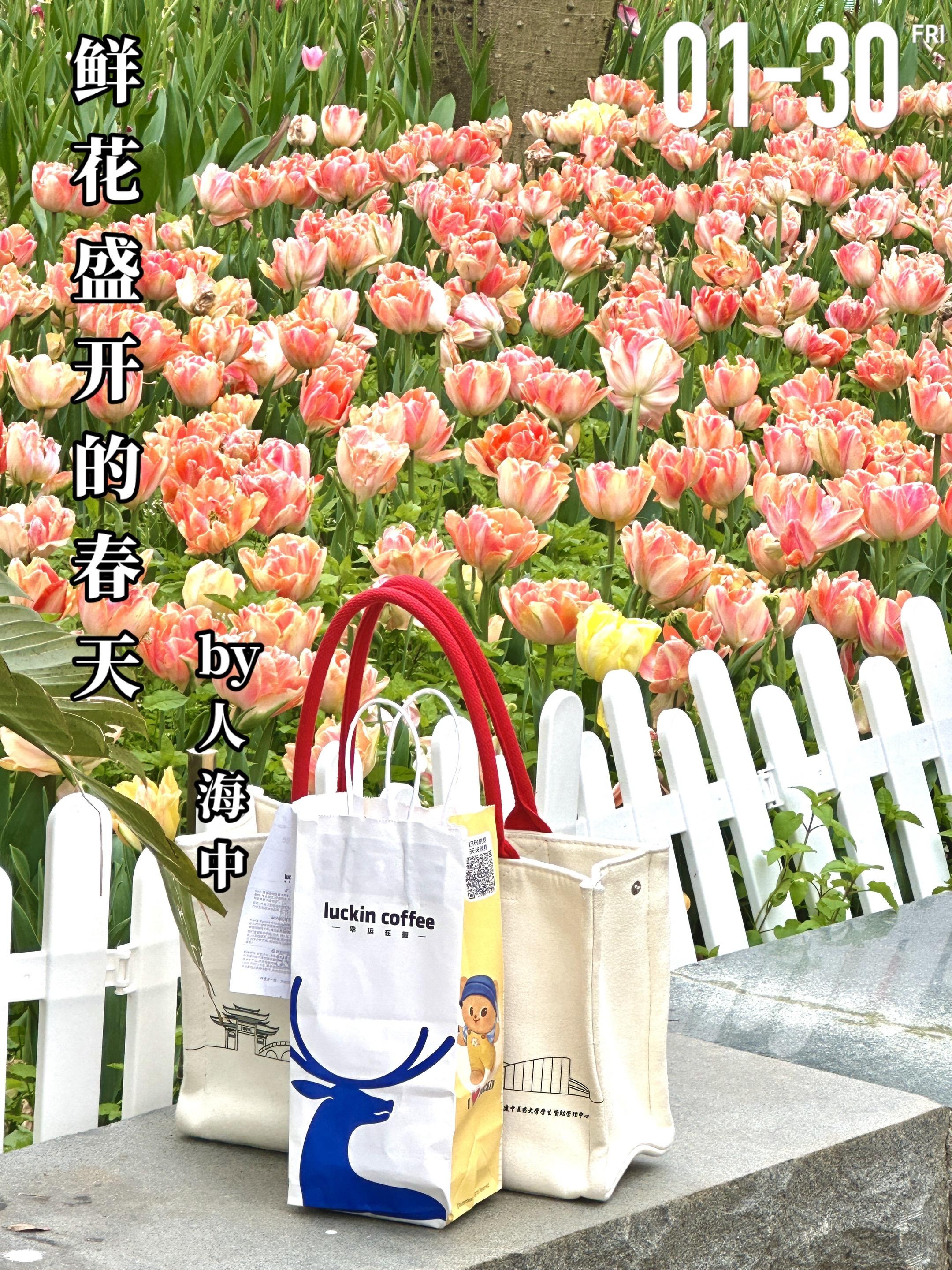 《鲜花盛开的春天》by人海中。闻喜（女主）十九岁时被bang/架，她遭...