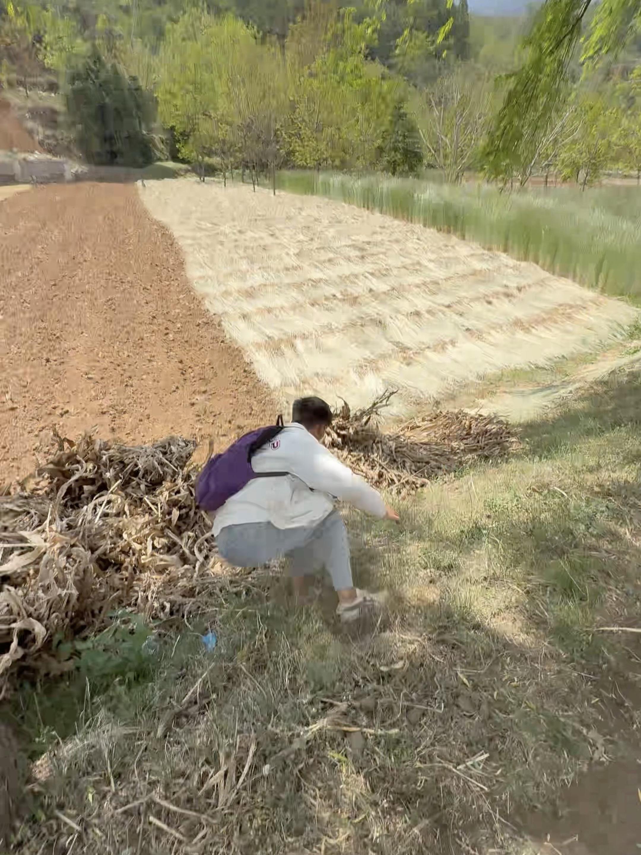 兄弟们太难了。