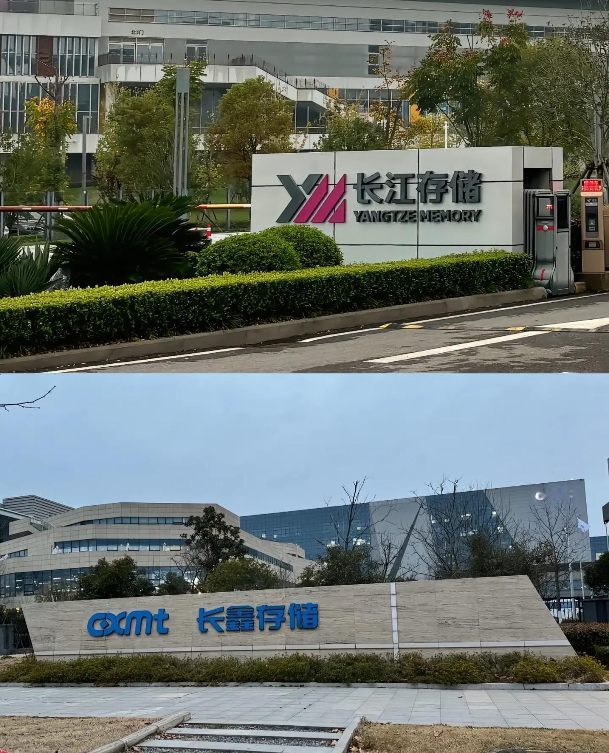 如果更看重技术创新和长期存储能力，长江存储更厉害。如果关注全球市场份额和短期盈利
