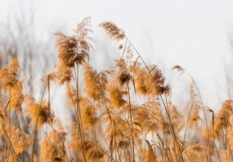 一80岁男子去世，男子的大儿子对78的后妈说：“俺姨，虽说你和俺爸结婚三十多年了