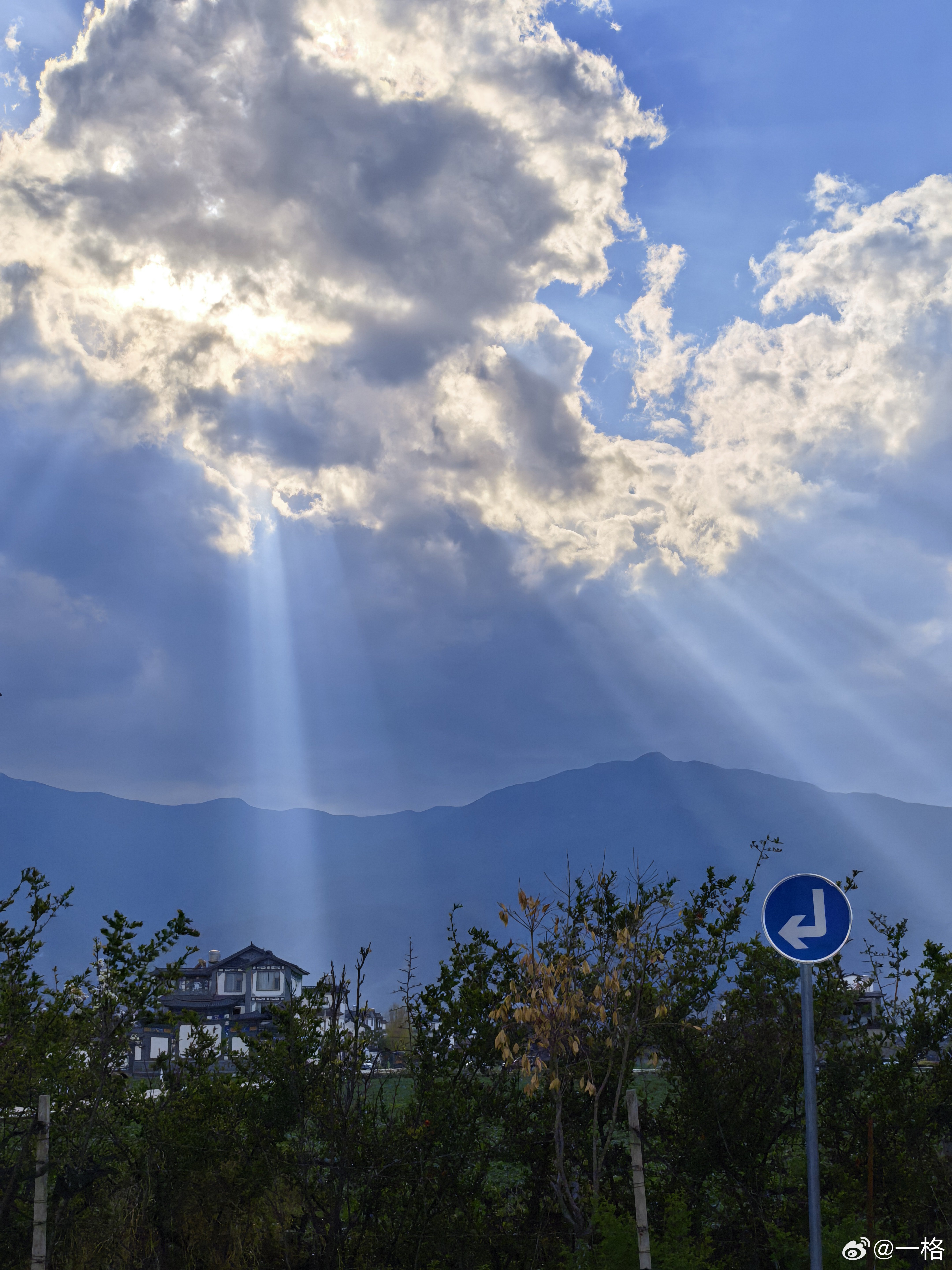快看，达利园效应！大理
