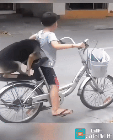 狗狗内心吐槽：小大哥，我还是自己跑着走吧，起码脚下稳当！男孩却一个劲安慰：没事的