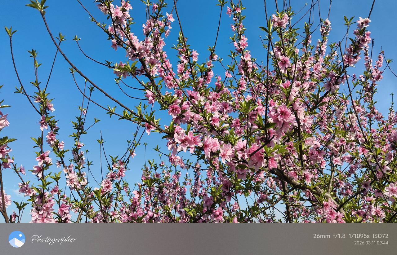 真拿自己当根葱！白宫主人昨晚在接受英国《金融时报》采访时说，他可能会推迟本月底