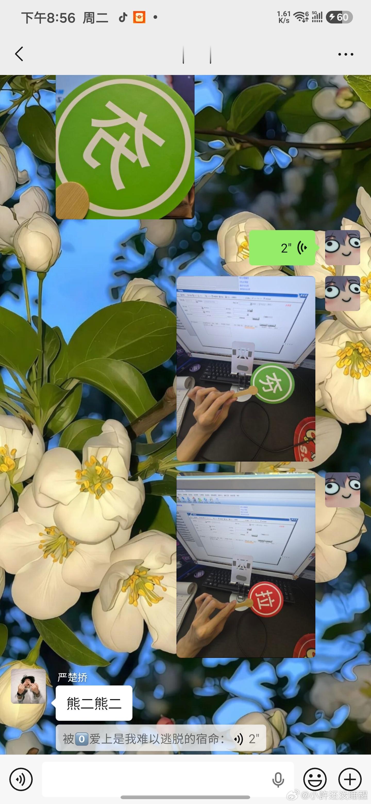 接下来有请上电视的这几位
