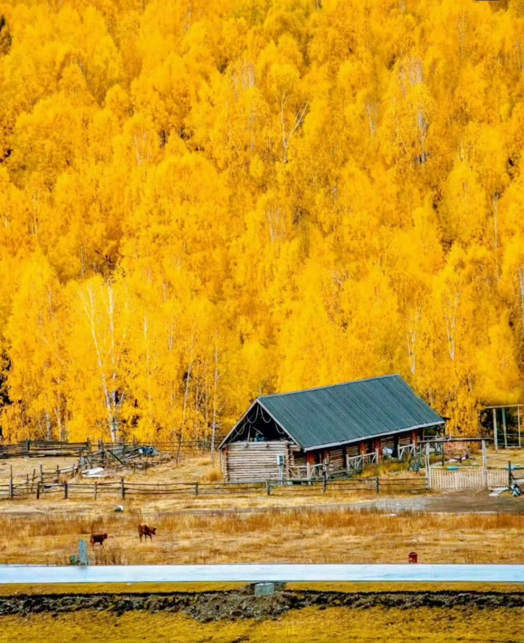“秋景如画…”​​​​