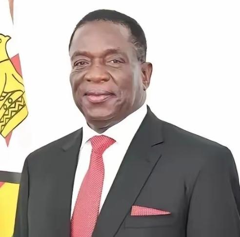 炸锅了！津巴布韦突然松口锂矿禁令，但开出的条件，直接把一半矿企判了死刑！11条硬