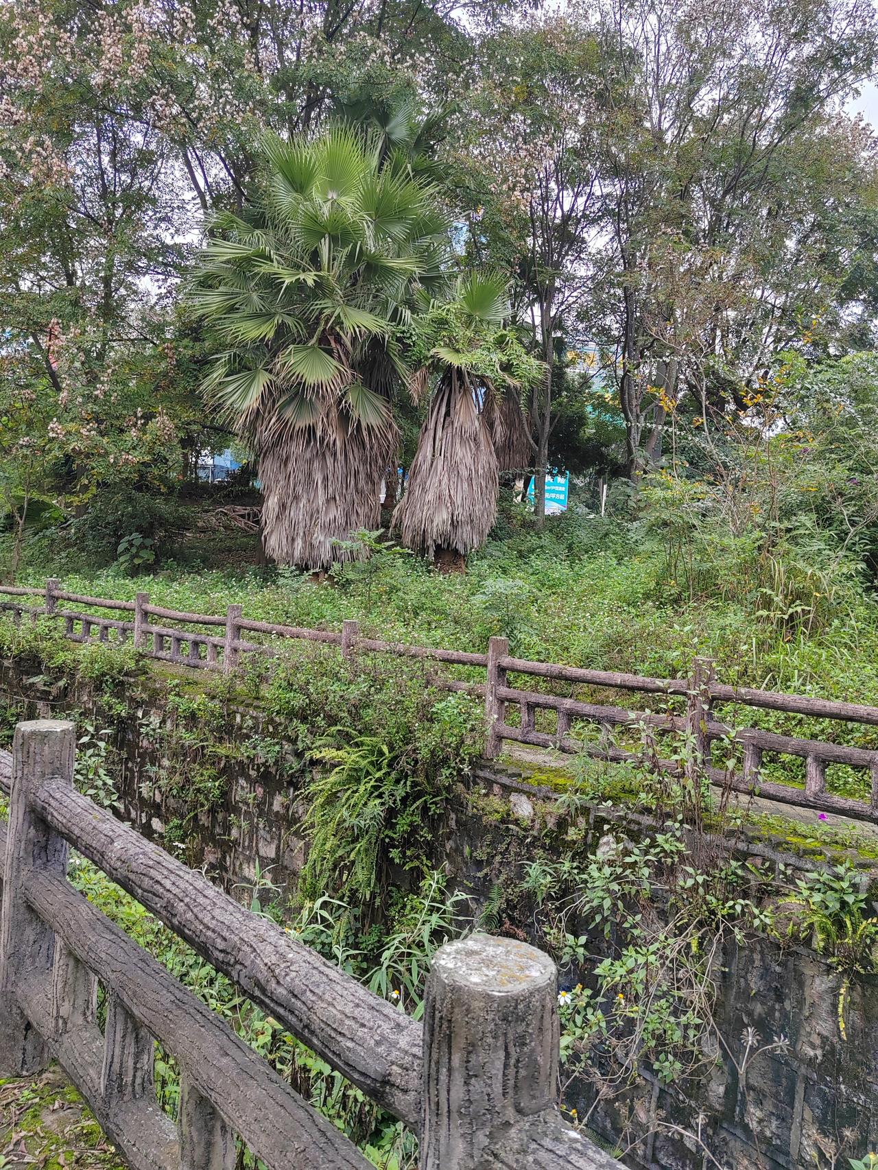 冬日生活打卡季今天出去随手拍的，有你喜欢的图片吗？