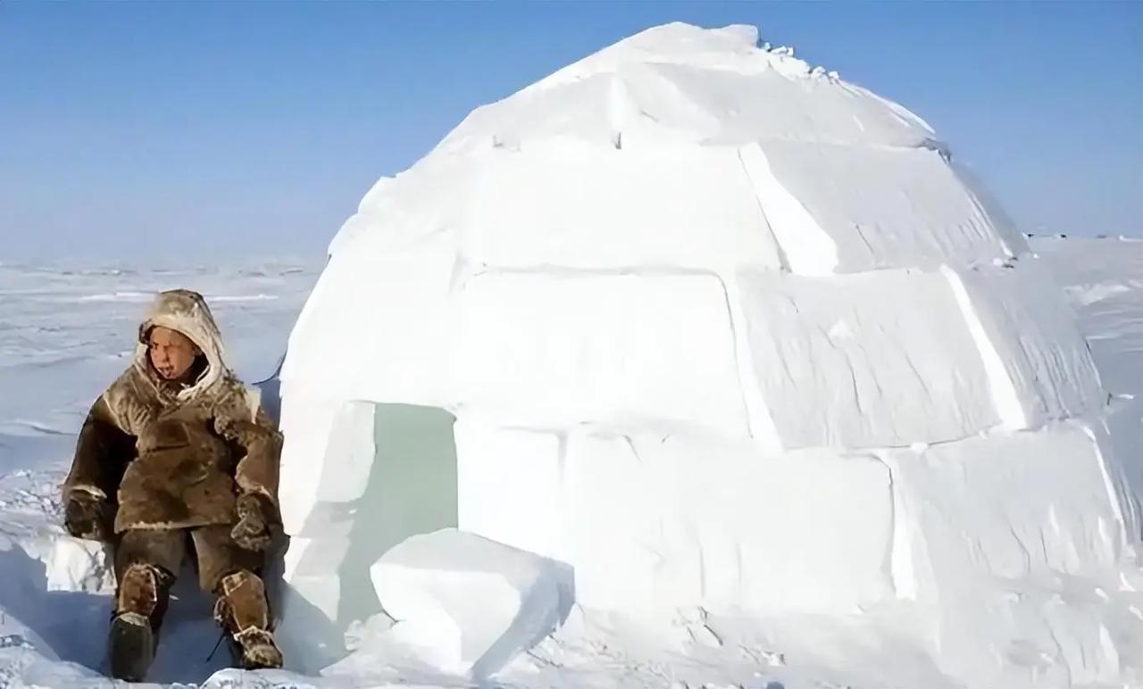 零下50度睡冰屋、脱光衣服睡觉、吃生海豹肉续命？因纽特人的日常看着像疯狂作死。但