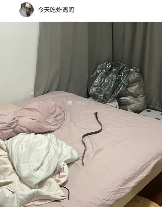 皮带不能放床上的原因​​​