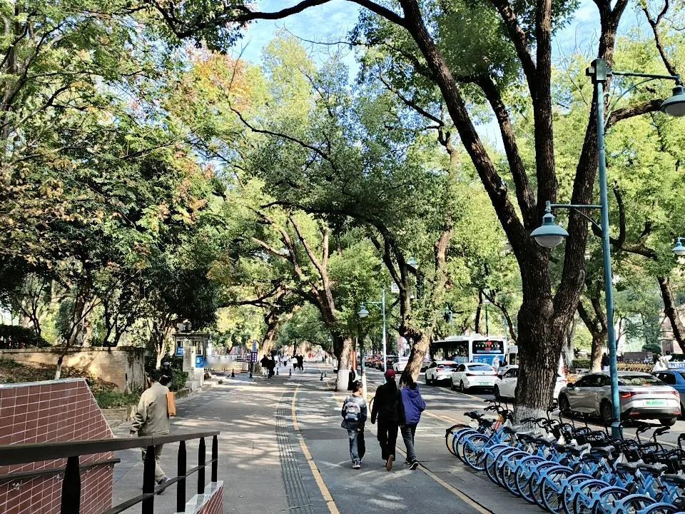 长沙要“一夜入冬”啦！16日白天还是25℃的暖秋晴天，今晚起就将被寒潮“突袭”。