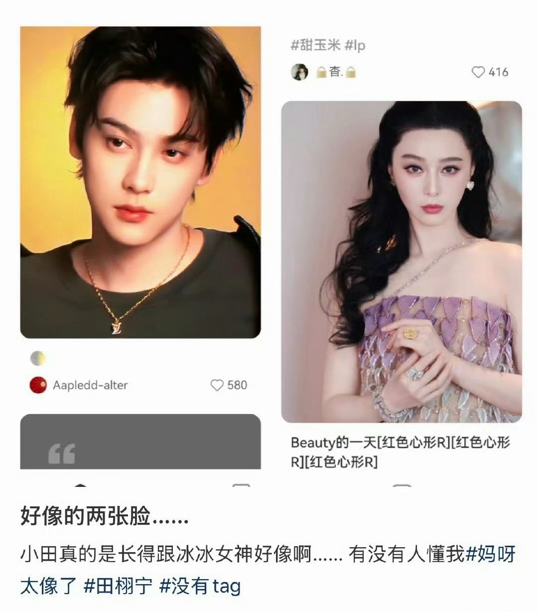 田栩宁和范冰冰长得像吗？