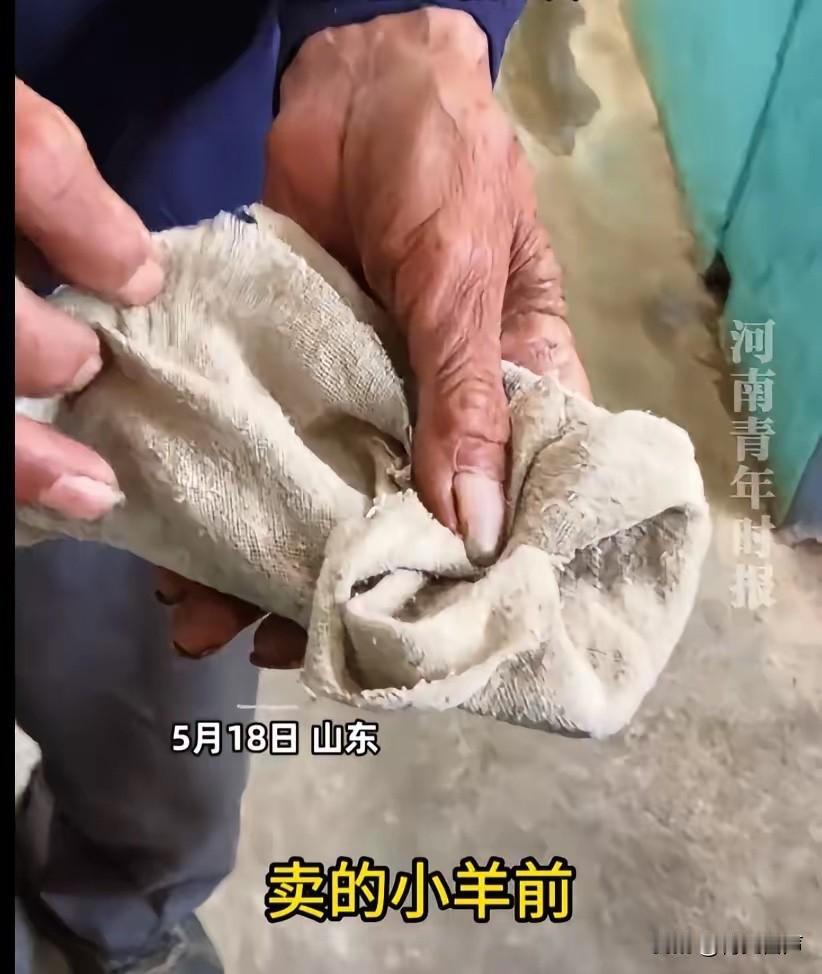 5月18日，山东一位84岁老人的视频在网上传开，视频里老人用旧布包着卖