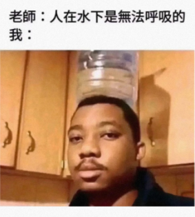 下次见啦,朋友们