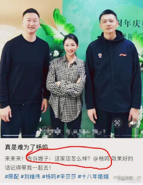 刘维伟出轨杨鸣​刘维伟辛莎莎找杨鸣打掩护去约会，给队员介绍富婆，还扬言要把