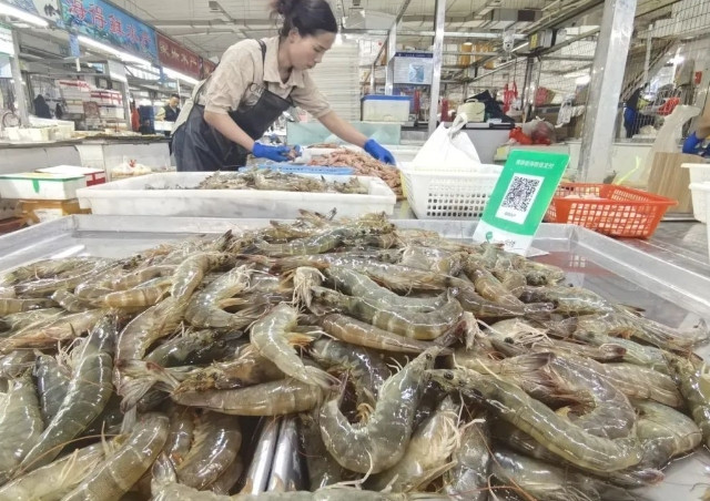 20元/斤！青岛人最爱每天15万斤上市，价格暴跌近半引抢购