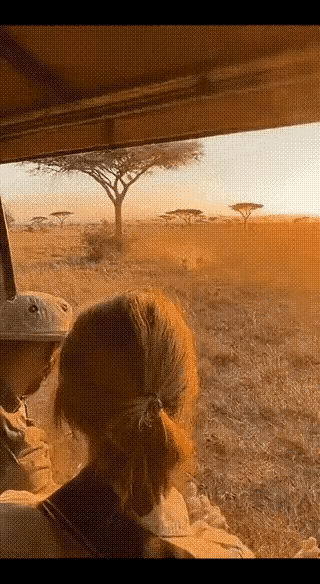 这羊，是抽风了吗？