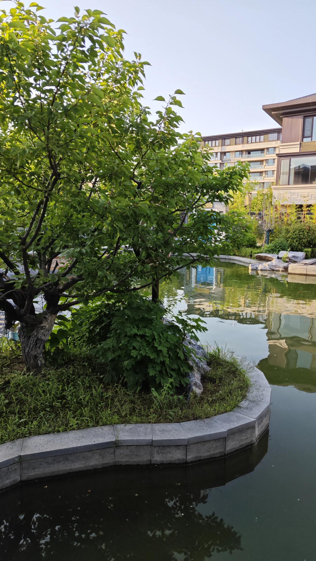 到了高中，你会发现：那个初中随便学学就能考进前几名的孩子，突然变成了班里中