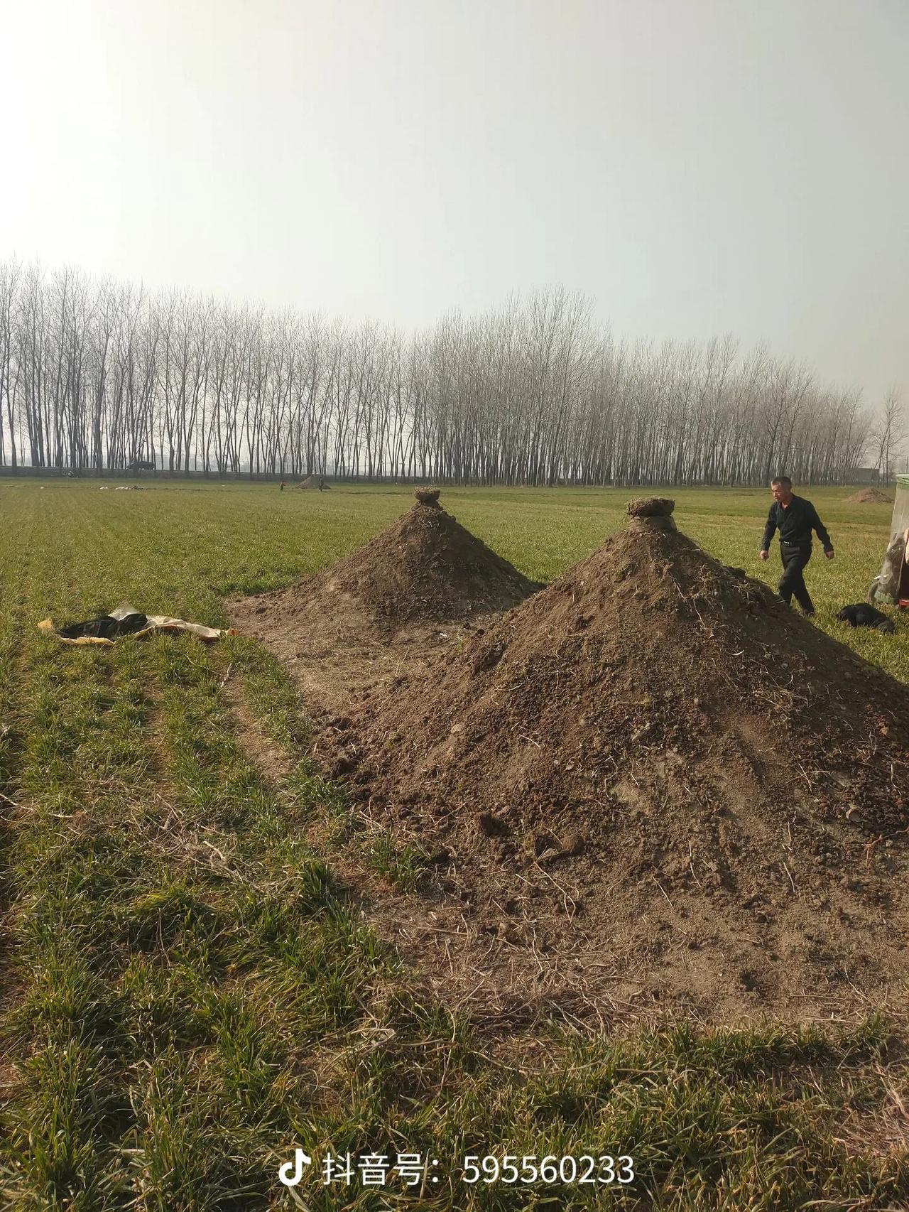 这是发生在我身边真实的事情。一个女的她妹妹喝农药去世了，埋葬了很多年没人去给她