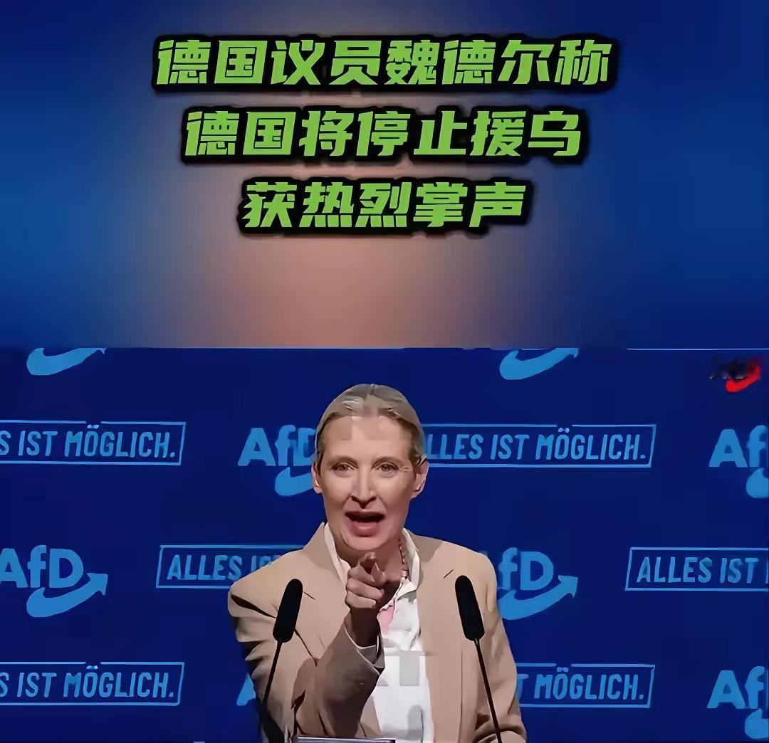德国这回把话说得够狠。魏德尔在7月19日的竞选场子里，冲着台下几千人直接放话：要