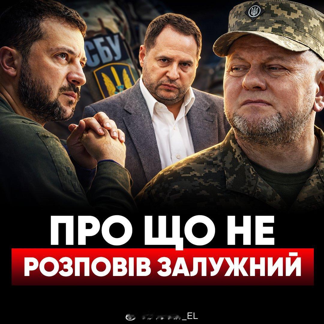 最近乌克兰媒体曝光的关于前乌军总司令扎卢日内的一个丑闻：乌克兰记者亚尼娜·索科洛