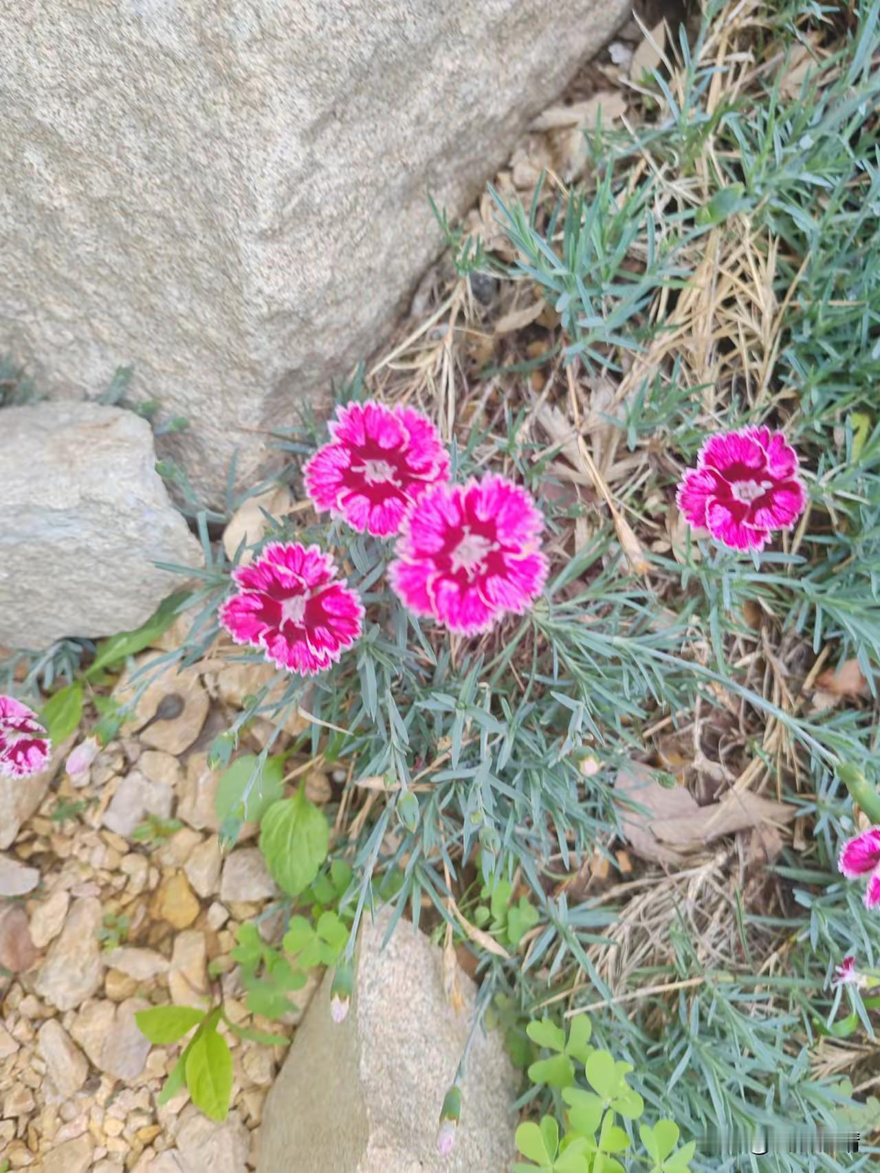 我堂哥，45岁了，北京985高校的教授，还带研究生，到现在没有结婚，可以说是一事