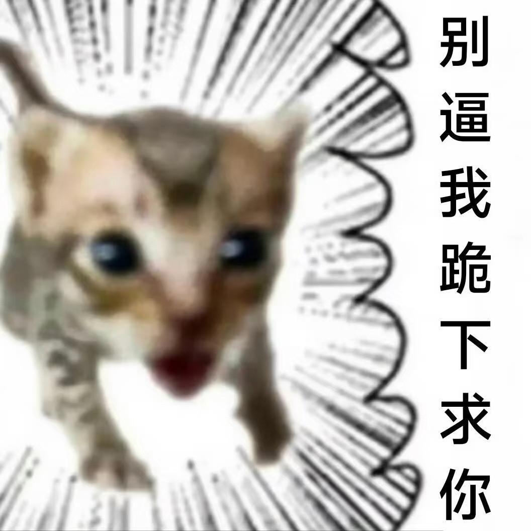 分享小动物梗图