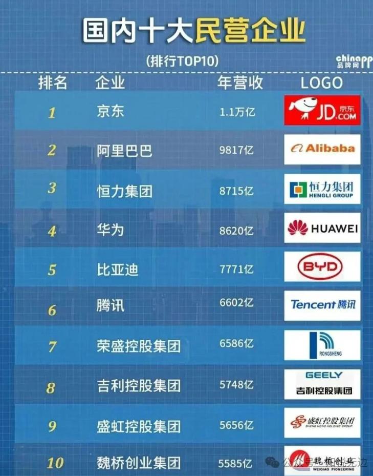 国内十大民营企业。京东的老板不是最有钱的，但是他的公司最赚钱。主要是人家对员工好