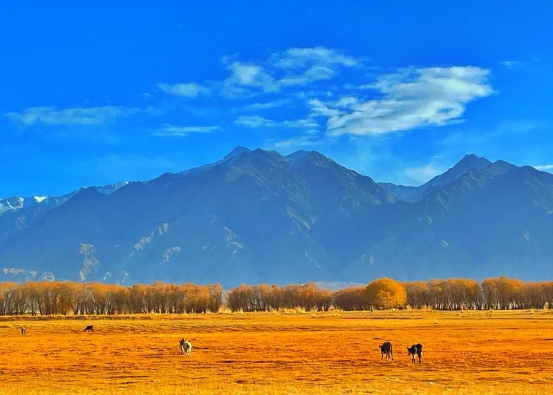 咱们国家当年被强占的四块好地方，到现在还有三块没能回到怀抱！你可能不