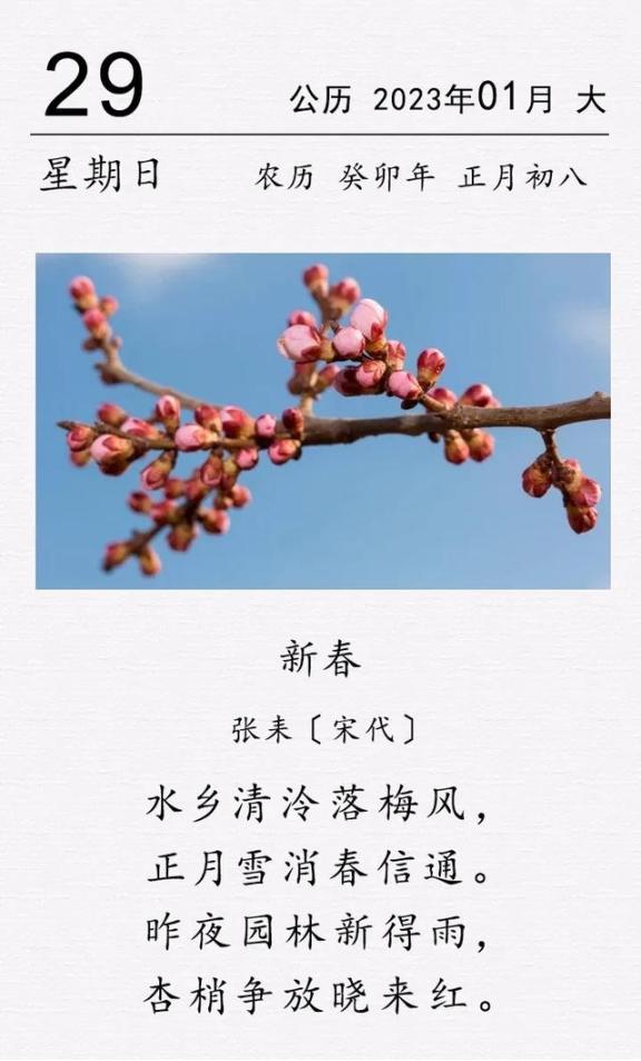 这是宋代诗人张耒的一首咏新春诗。这首诗最绝妙之处在于道出了杏花报春的自然现象，也