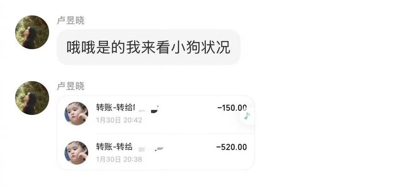 网友在狗狗救助群看到了卢昱晓卢昱晓在狗狗救助群呜呜呜天使噜噜