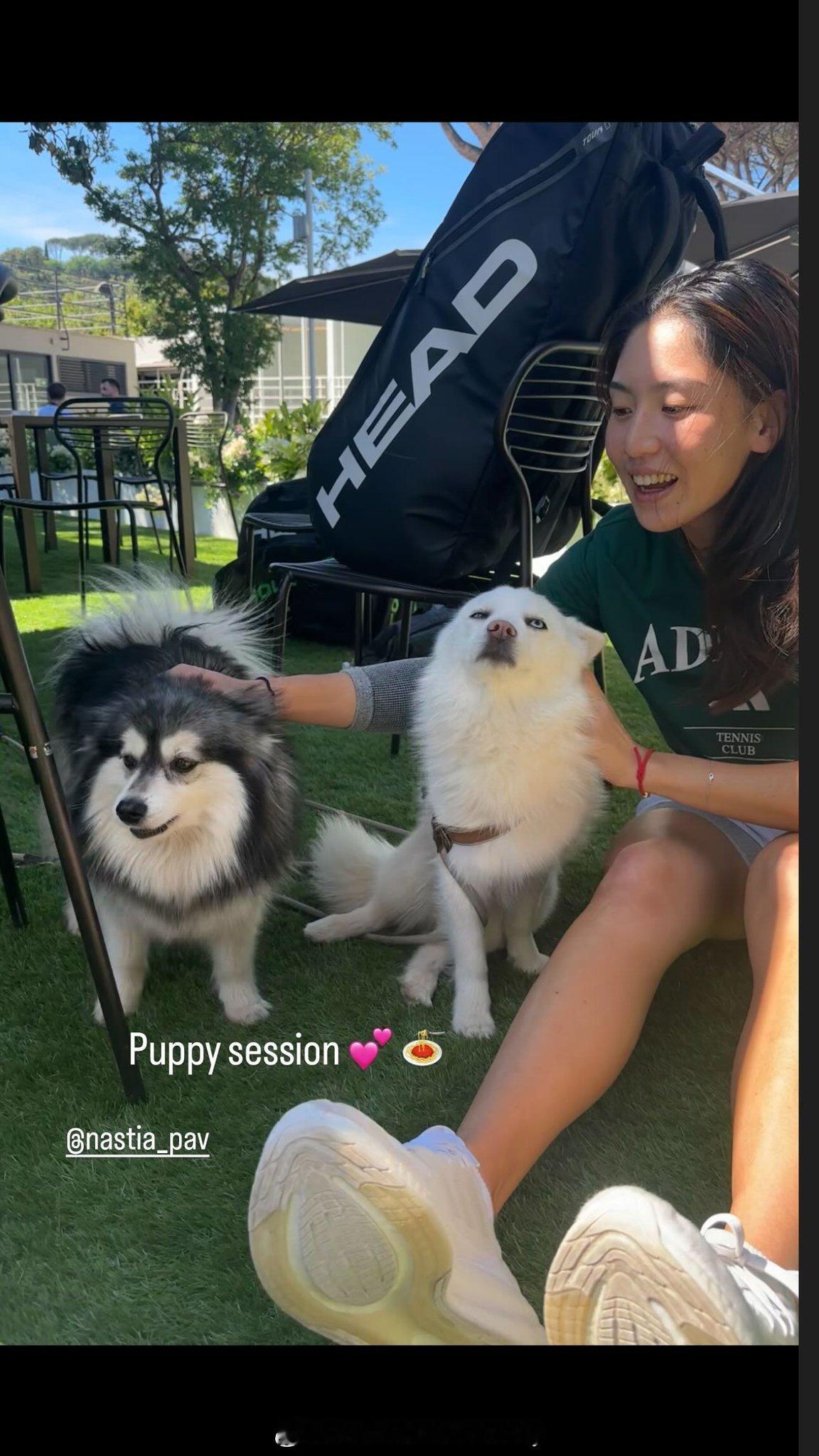王欣瑜很喜欢狗狗呀🐶网球王欣瑜wta​​​
