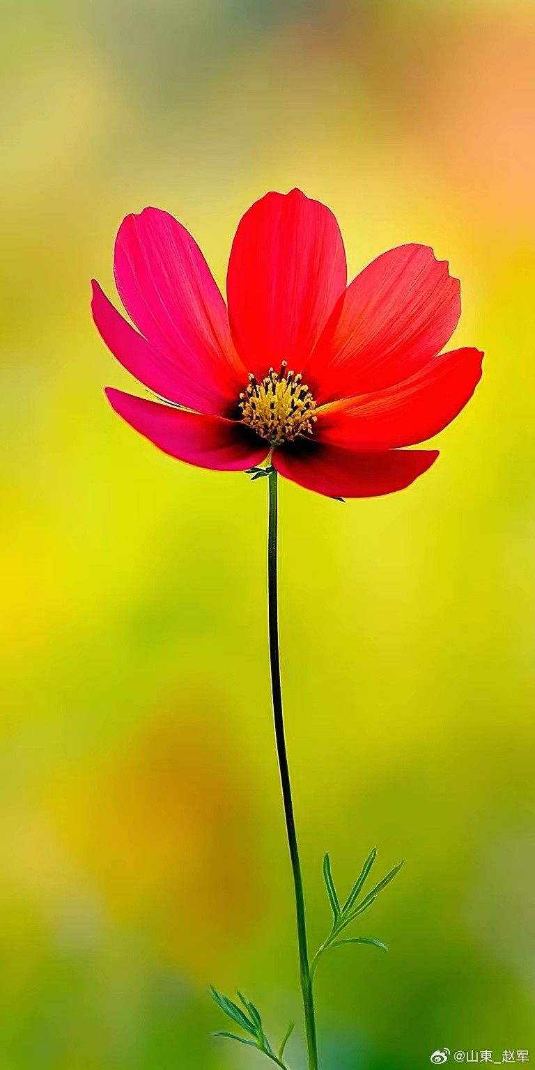 “久视伤血”的真相！老祖宗说：闭口不言，饮元气，才是长寿之本“久视伤血，久卧伤气