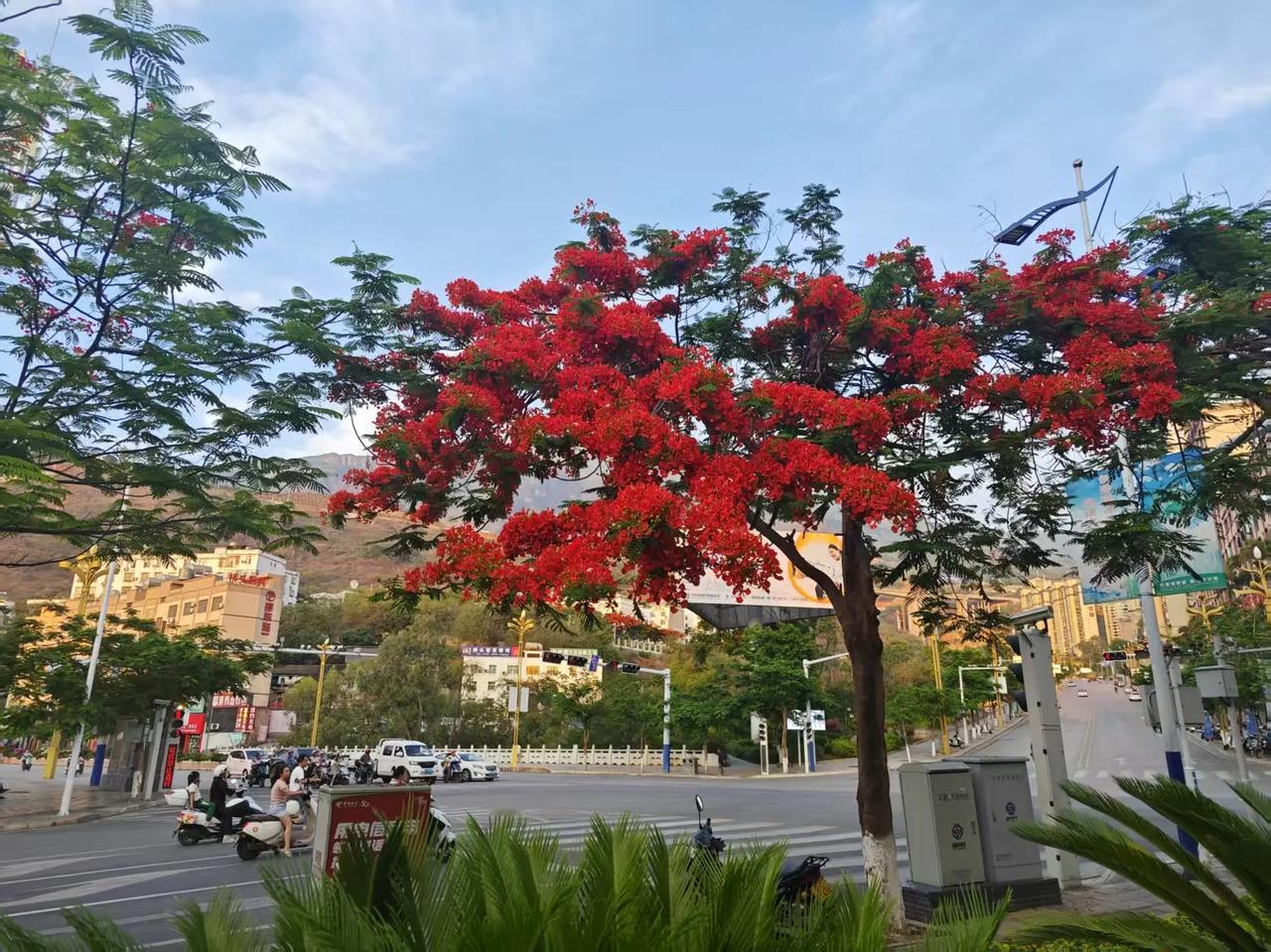 【花钱也要整死你】​​​​​​据权威媒体报道，日本政府突然宣布，对乌克兰援助的金