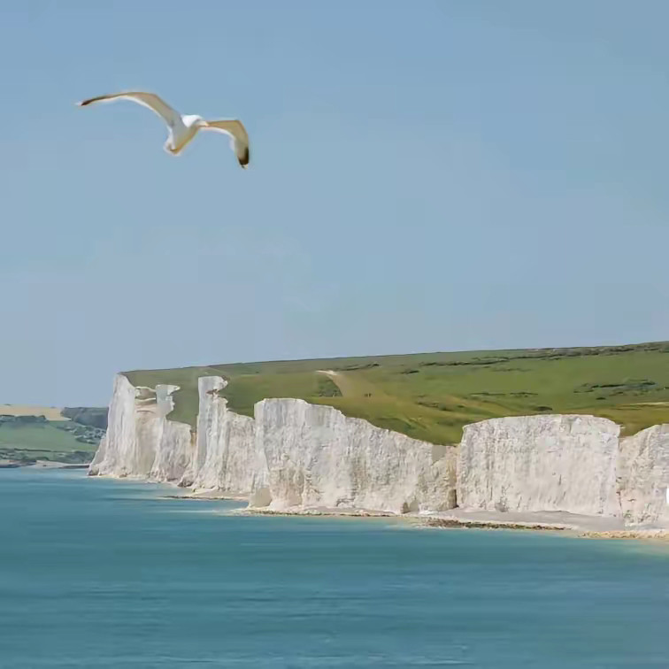 有时，真的很无奈你照顾了孩子，就赚不了钱你赚了钱，就照顾不了孩子不照顾孩子，将来