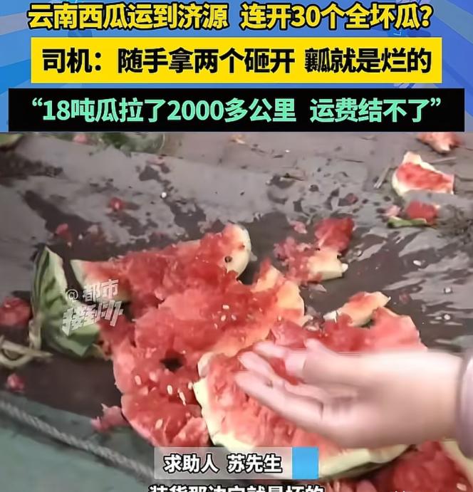 男子从云南运了18吨西瓜到济源，可收货方一检查，连开了30个瓜，外面都是好好的，