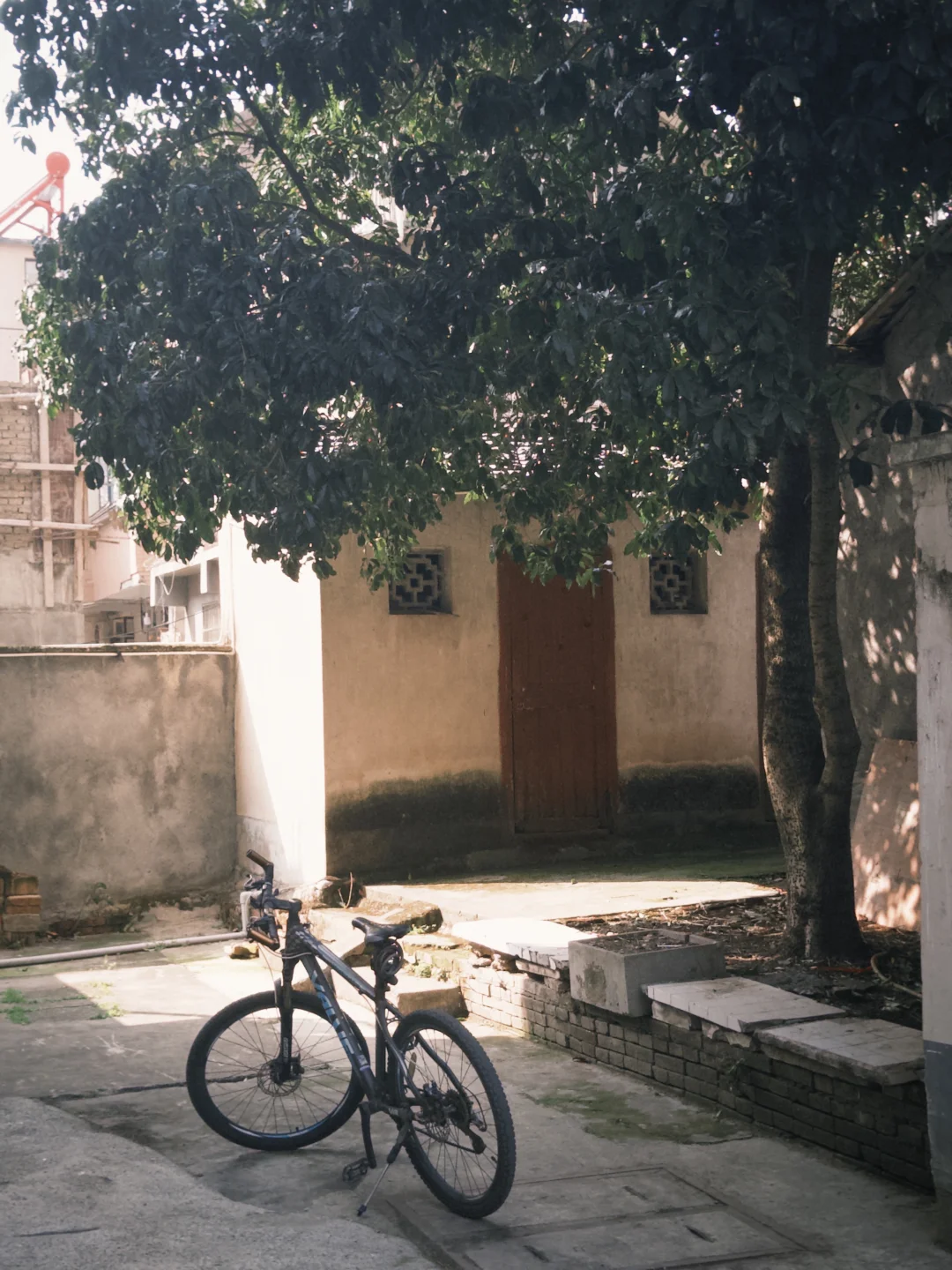 摄影分享｜两张无敌喜欢的图！