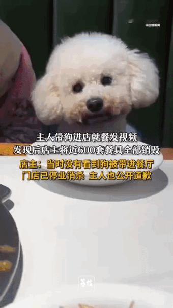 河南商丘一家饭店，3月17号下午，老板姜先生正刷着手机。手指划着划着，停住了。一