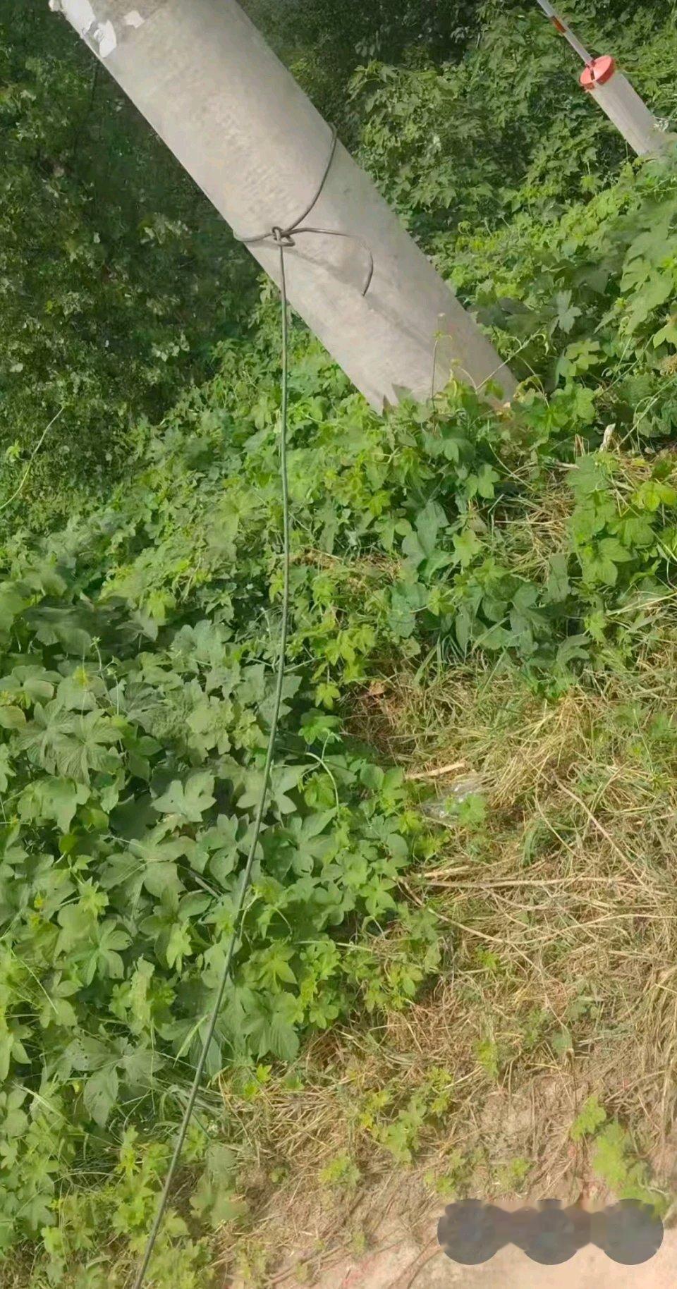 看到驻马店这起事故的通报，后背瞬间凉了半截。45岁的女子赶集完和儿子各骑一辆电