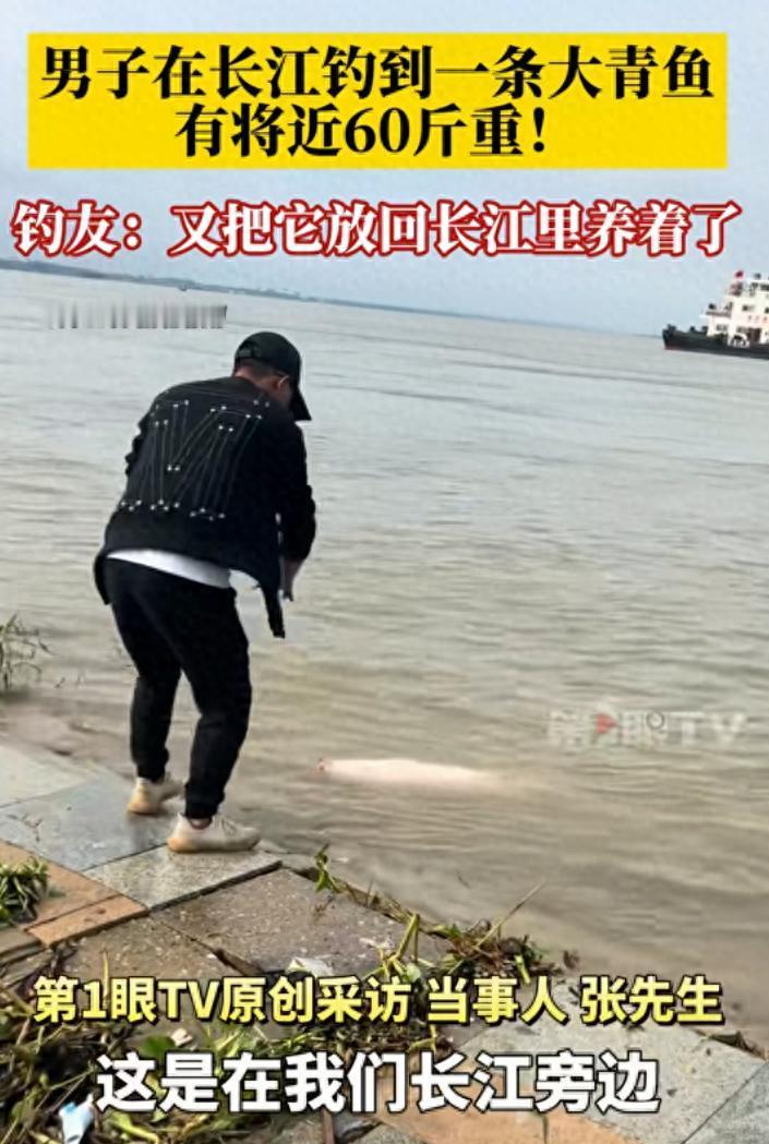 杀生不虐生！9月25日湖北鄂州一男子，在长江旁边钓到了一条几乎有60斤重的大青鱼