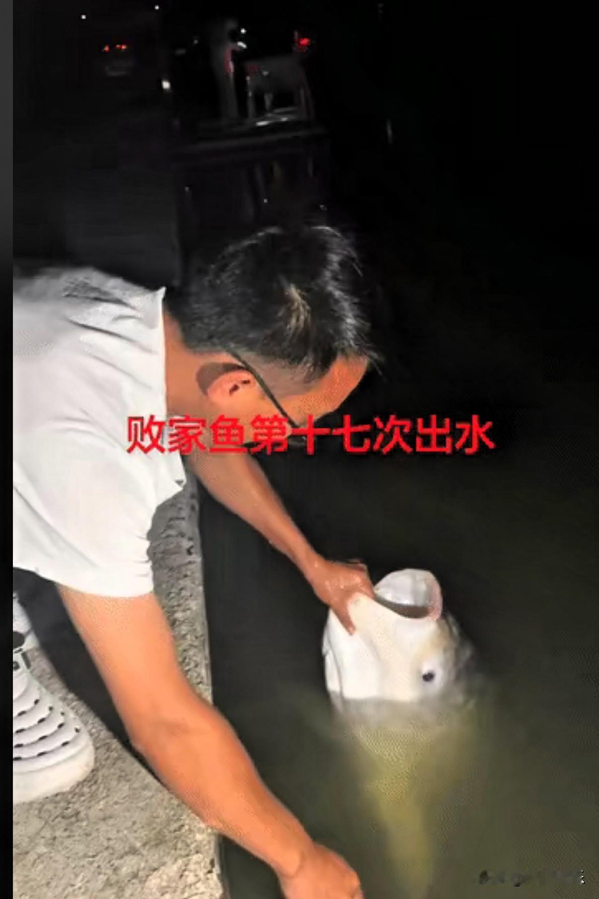 “笑不活了”浙江某钓鱼园里有一条60多斤的大鱼，因为好吃已经被钓上来17次了，钓