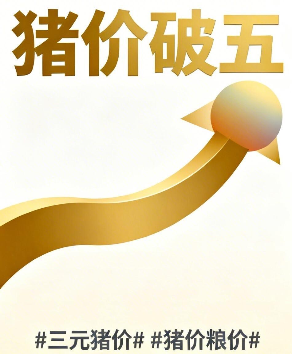 山东猪价一夜破五元！老张凌晨三点卖猪四块九毛五，行业寒冬里散户的眼泪与资本的血腥