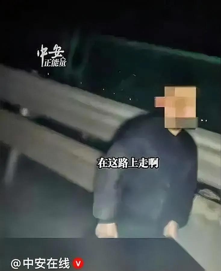 高速惊现独走男孩！大货司机急刹车看清孩子脖子血迹心揪紧！河南杨师傅深夜跑