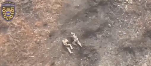 组图：两名俄军组成的渗透小队在前沿像蟾蜍一样在地上爬行被乌军无人机炸毙如此愚