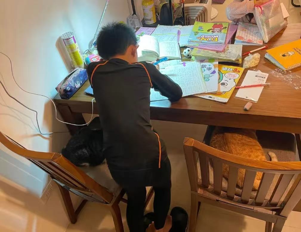 妈妈好奇孩子为什么写作业要站着，走近一看瞬间秒懂