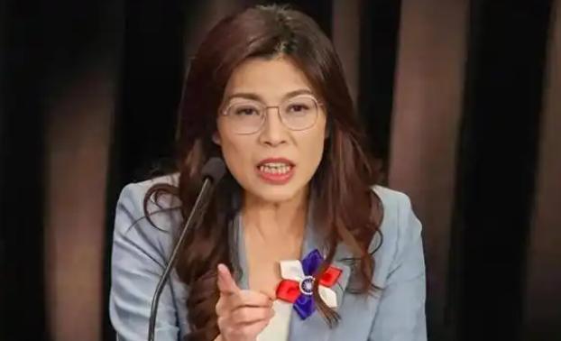 郑丽文可怕的不是他当国民党主席，最可怕的是她的演讲能力。 每每都是全程脱稿，