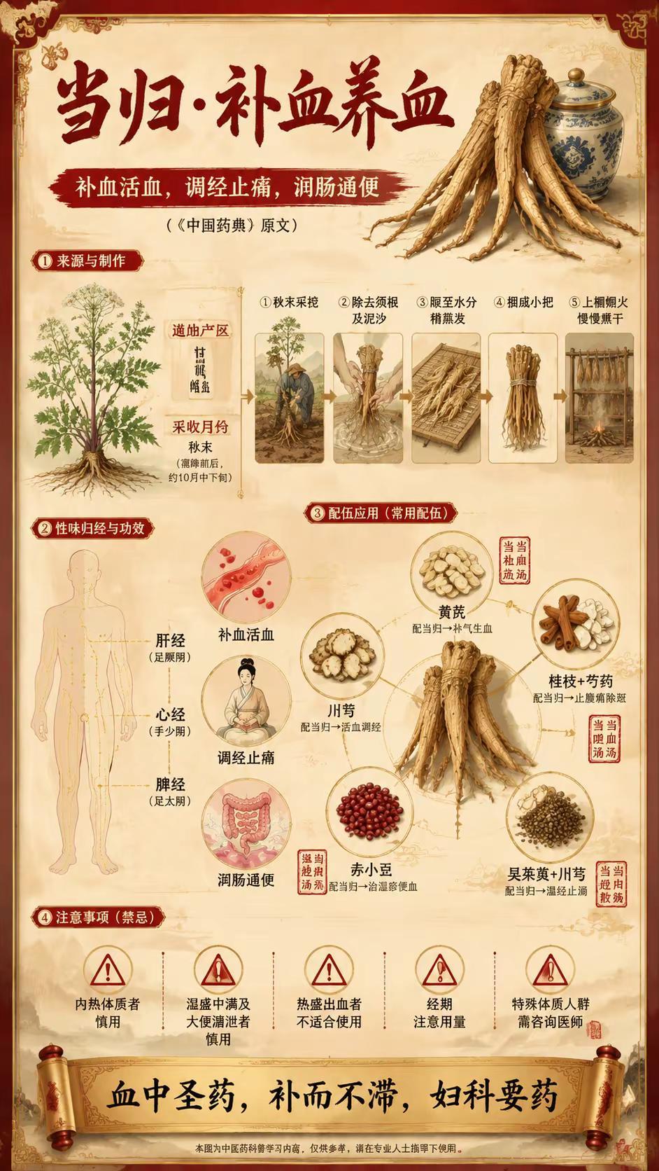 99%的人不知道，当归不能乱泡水。今天说一味很多人搞错用法的中药——当归。你以为
