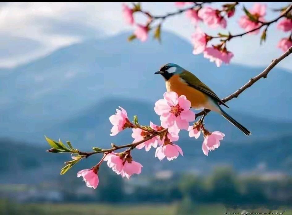 现在医保每人每年交400元，有的人每年都拖到最后，实在不得已的才交上，尤其是农村