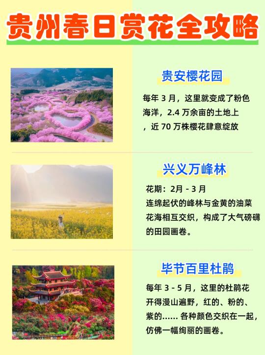 🌸贵州赏花全攻略 | 9 个必打卡目的地