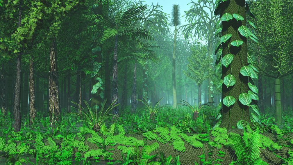 2.5亿年前一场“森林倒塌”, 如何演变成全球性灾难