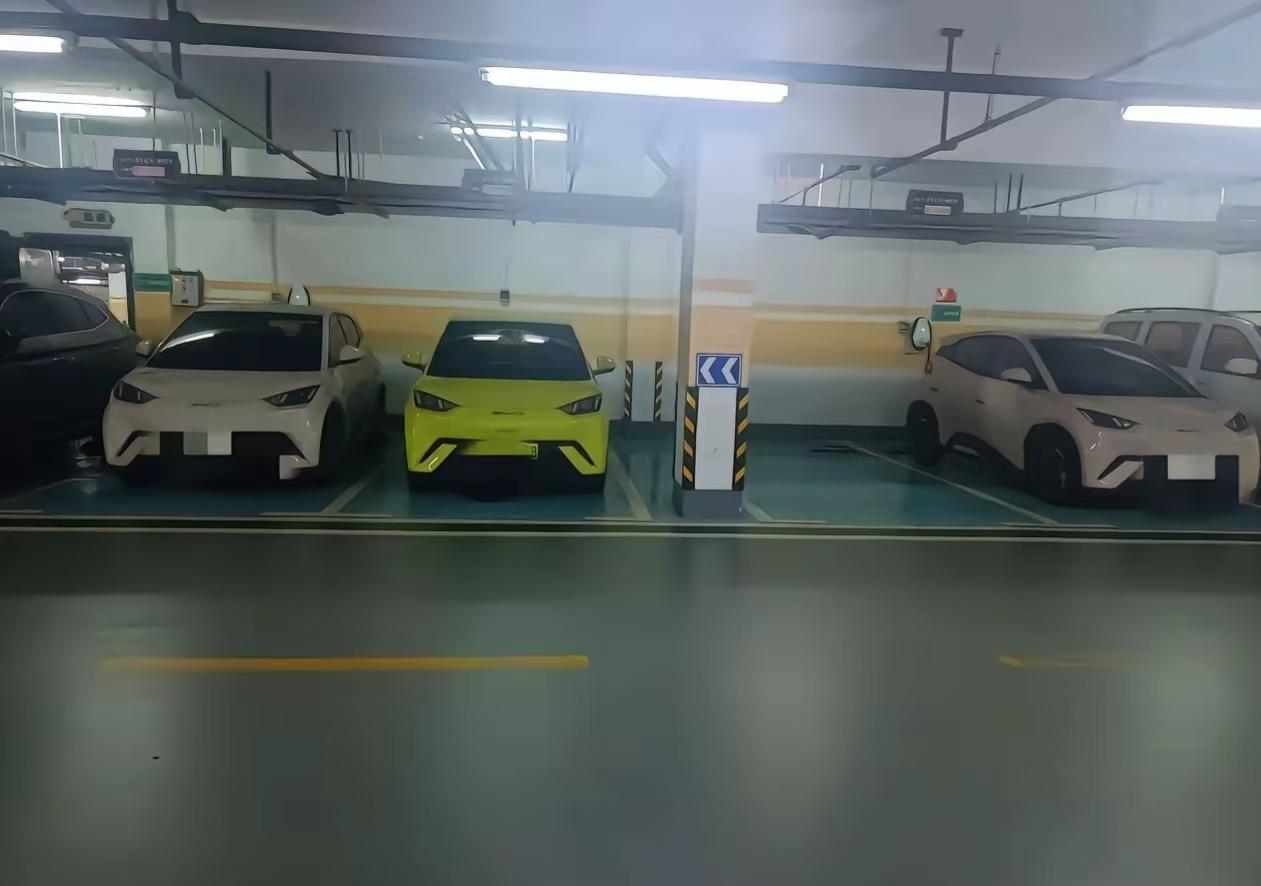 比亚迪海鸥难道是分公母的吗？为什么我一朋友在地下室拍了张照片，发现明明都是比亚迪